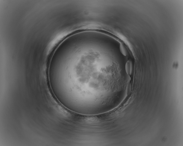 X0000091591464200708201219