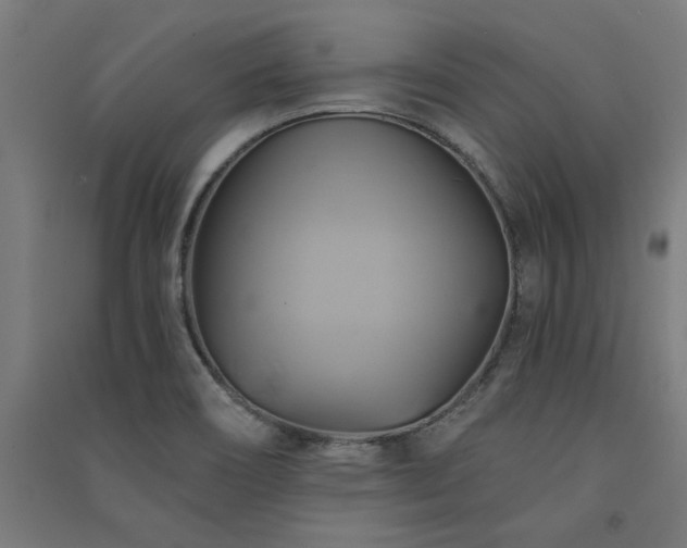 X0000091591466200708201219