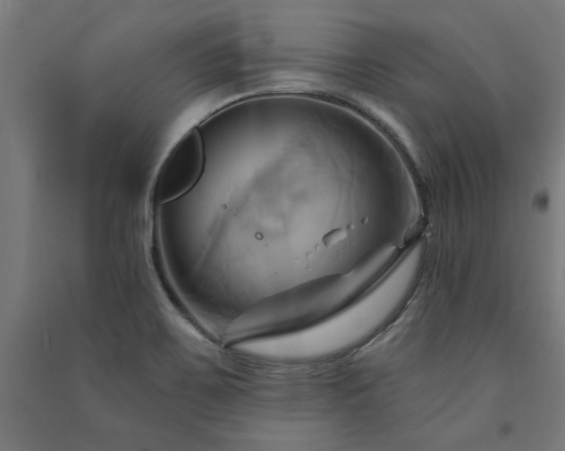 X0000091591467200708201219