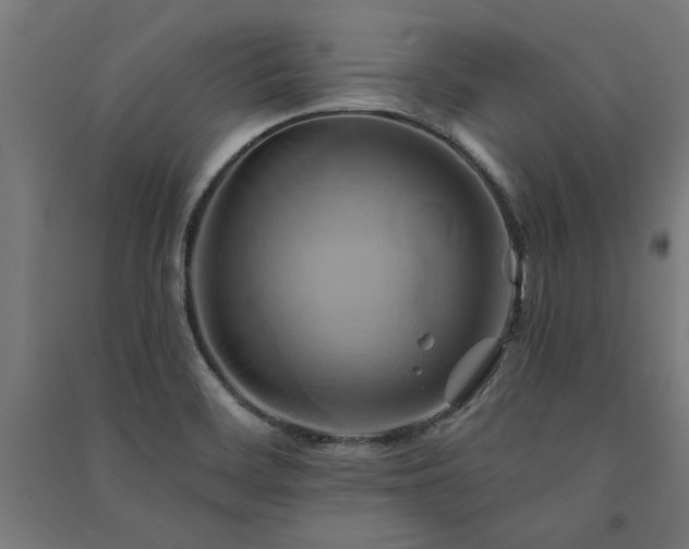 X0000091591468200708201219