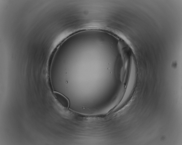 X0000091591469200708201219