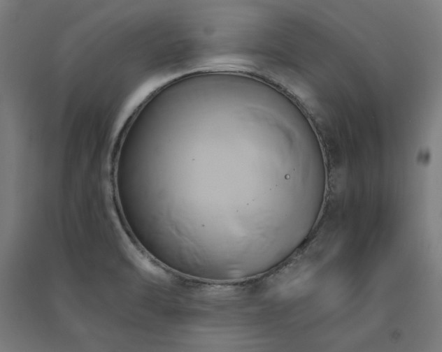 X0000091591470200708201219