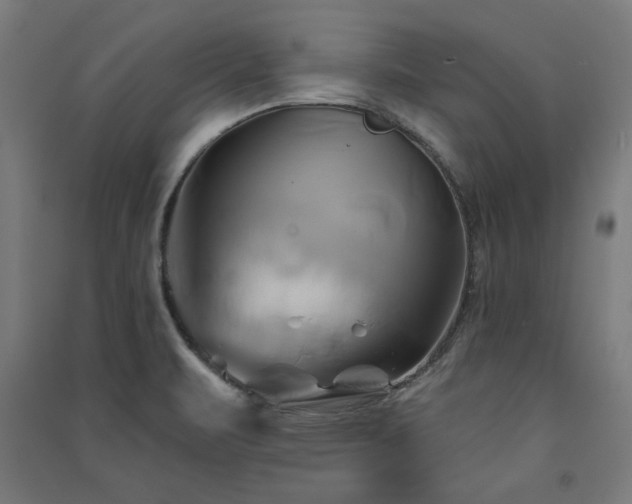 X0000091591471200708201219