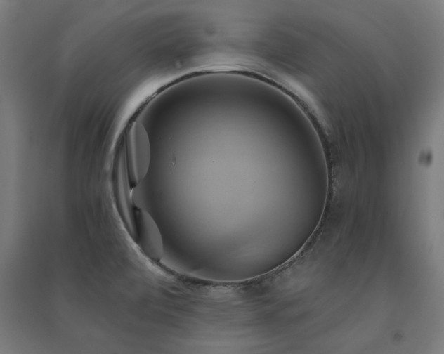 X0000091591472200708201219