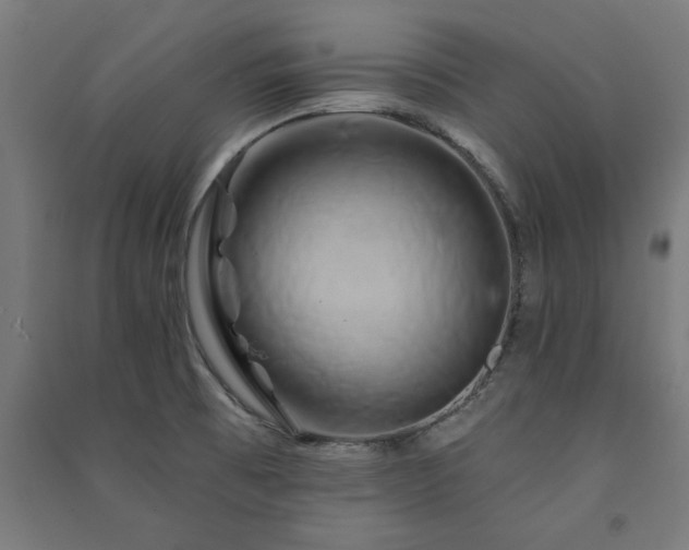 X0000091591473200708201219