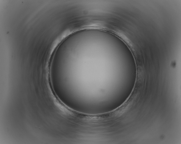 X0000091591474200708201219