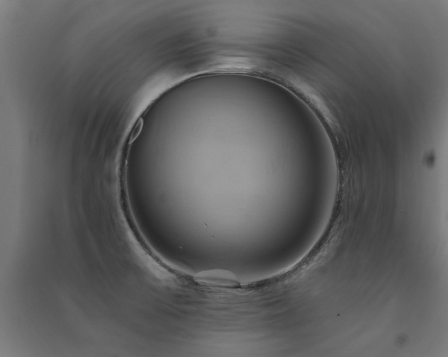 X0000091591475200708201219