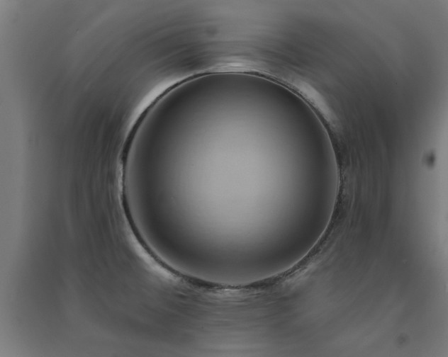 X0000091591476200708201219