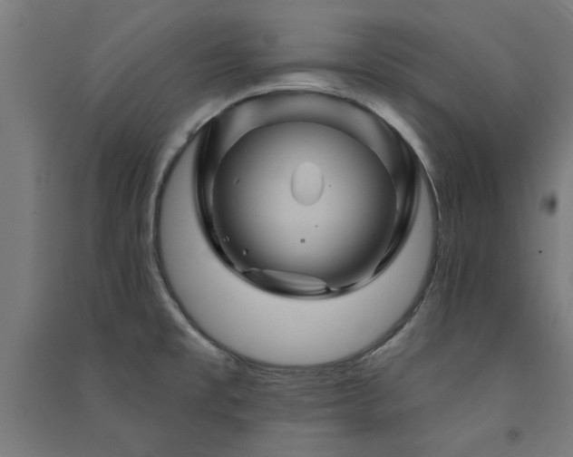 X0000091591477200708201219