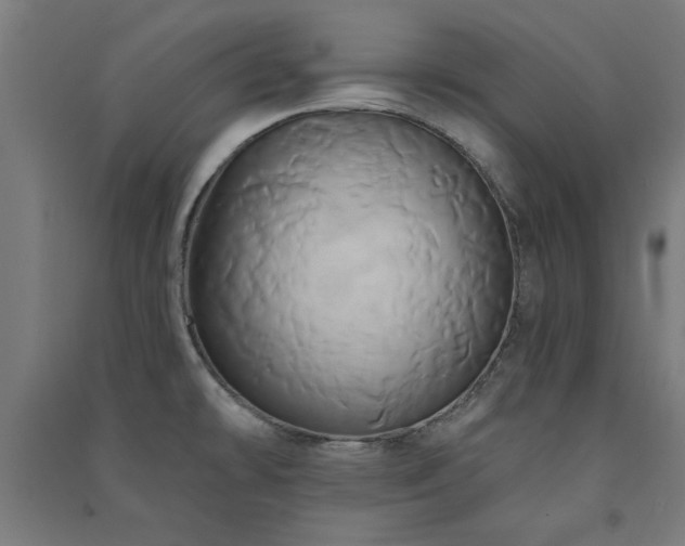 X0000091591478200708201219