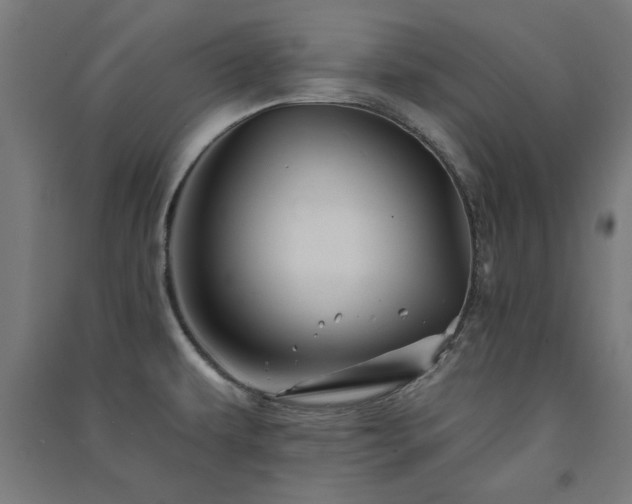 X0000091591479200708201219