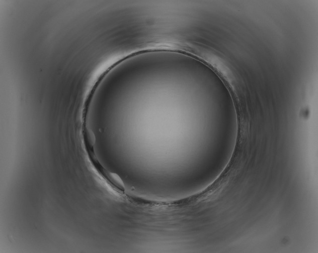 X0000091591480200708201219