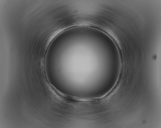 X0000091591481200708201219