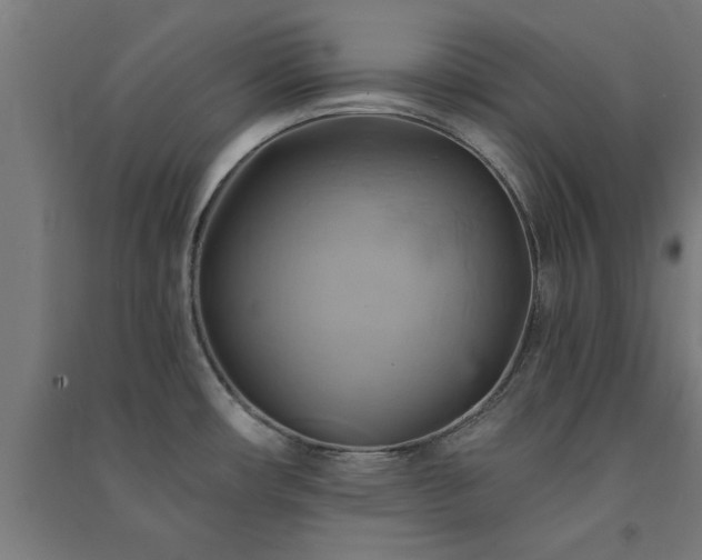 X0000091591482200708201219