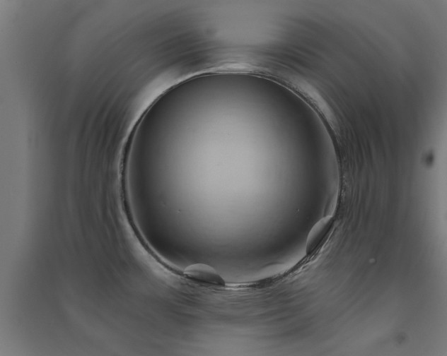 X0000091591483200708201219