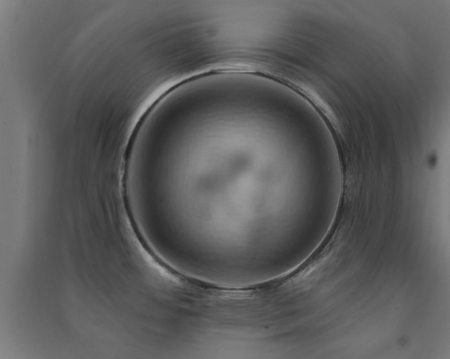 X0000091591484200708201219