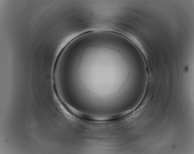 X0000091591485200708201219