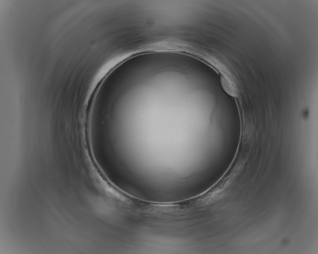 X0000091591486200708201219