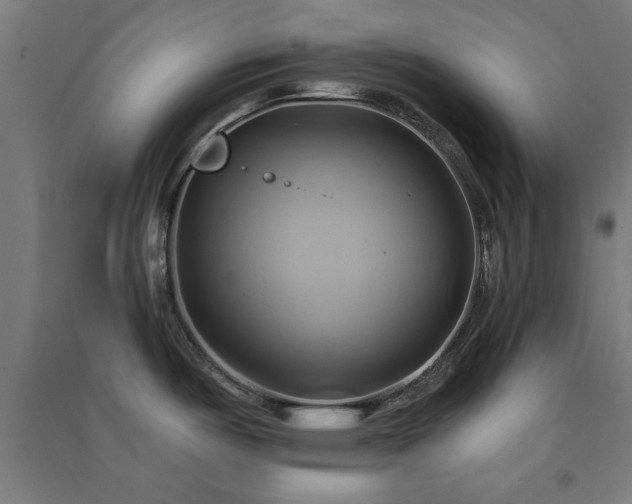 X0000091591487200708201219