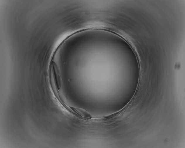 X0000091591488200708201219