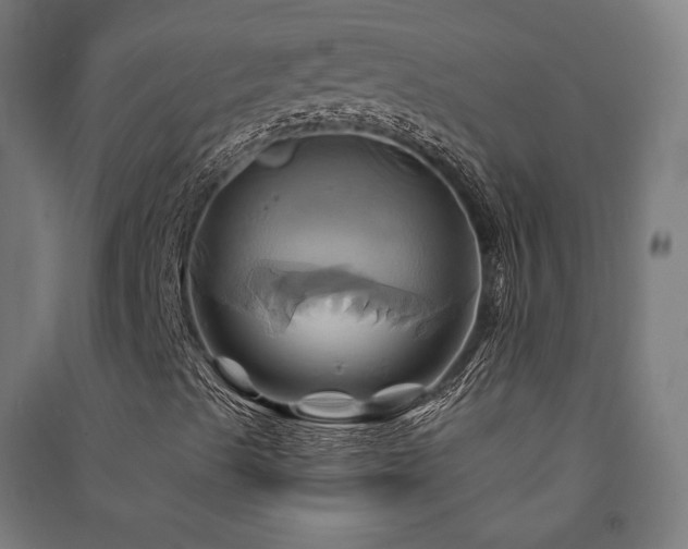 X0000091591489200708201218