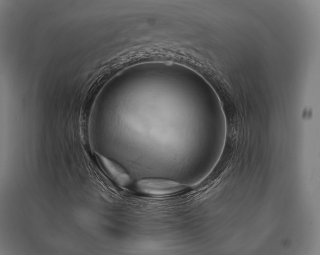 X0000091591490200708201218
