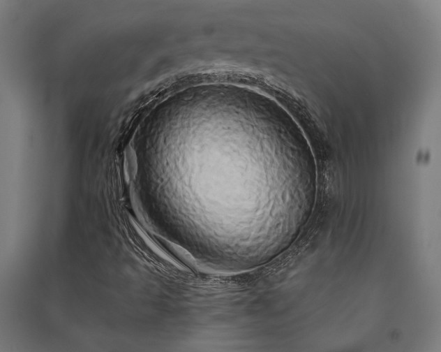 X0000091591493200708201218