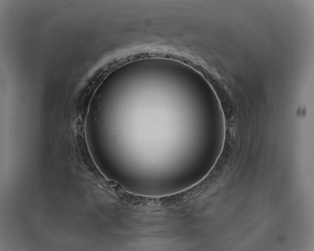 X0000091591495200708201218