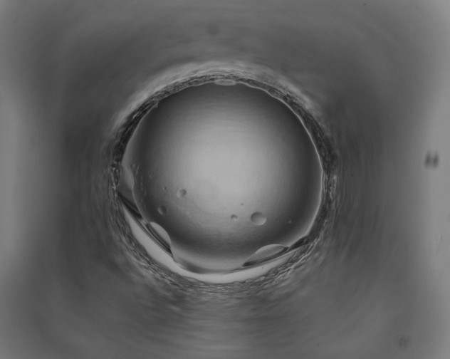 X0000091591496200708201218