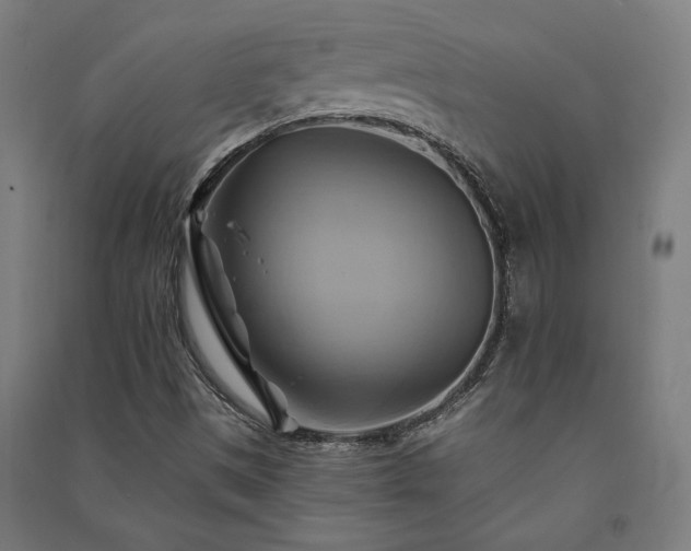 X0000091591497200708201218