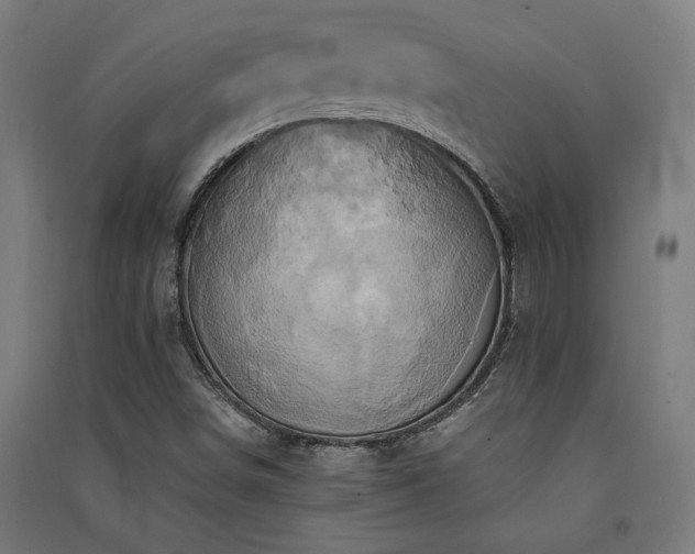X0000091591498200708201218