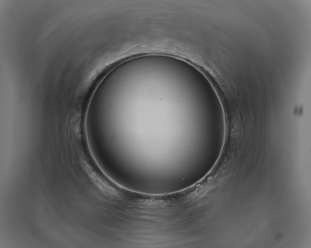 X0000091591499200708201218