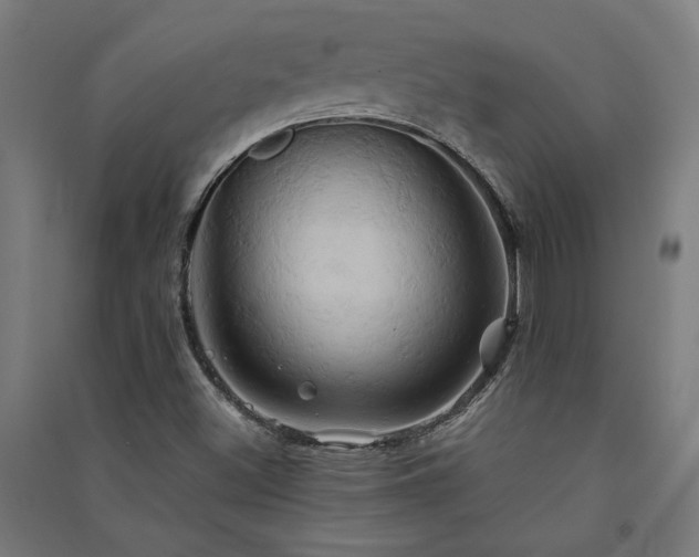 X0000091591500200708201218