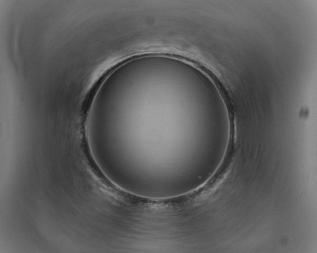 X0000091591501200708201218