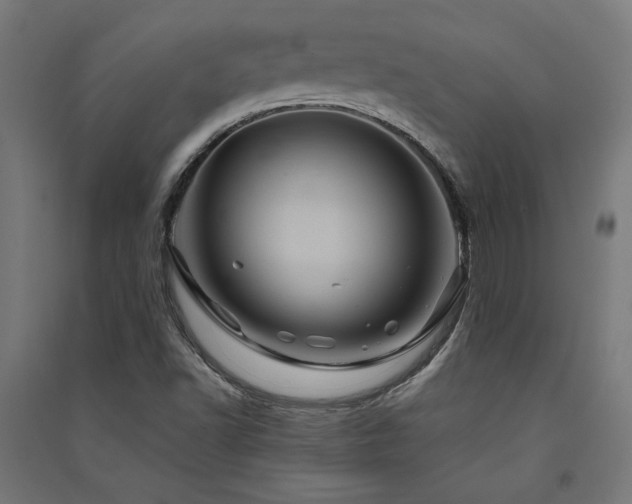 X0000091591502200708201218