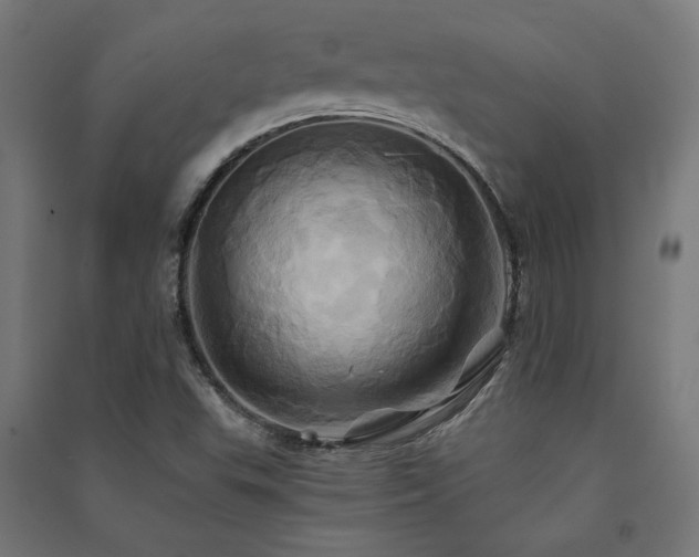 X0000091591503200708201218