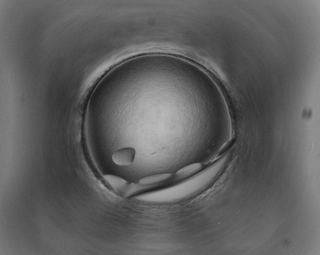 X0000091591504200708201218