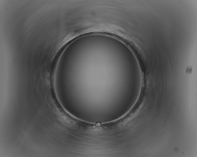 X0000091591505200708201218