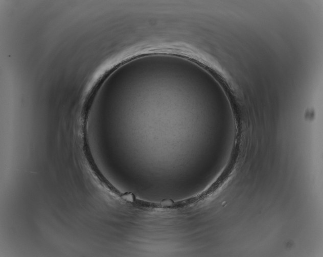 X0000091591506200708201218