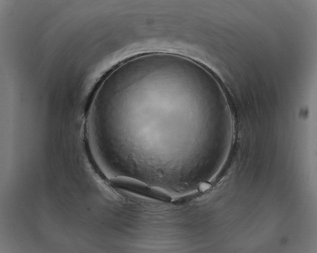 X0000091591507200708201218