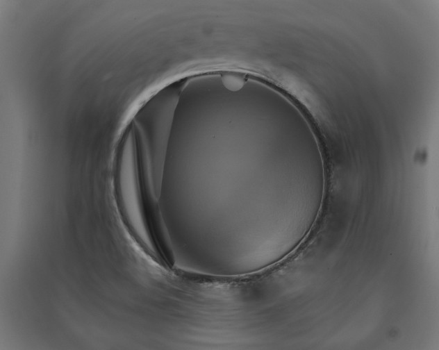 X0000091591508200708201218