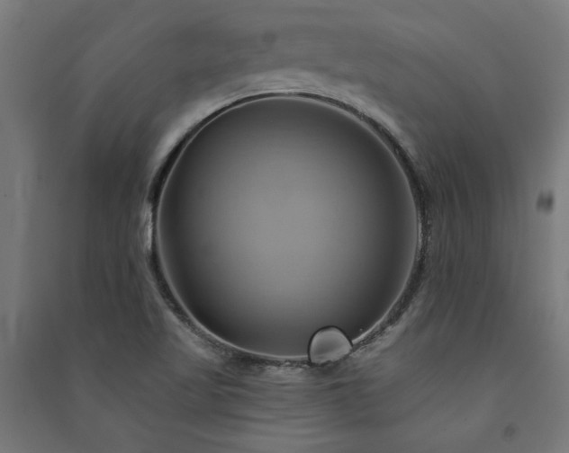 X0000091591509200708201218