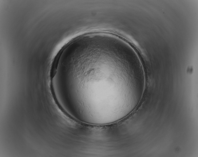 X0000091591512200708201218