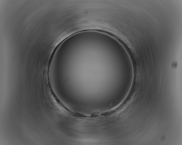 X0000091591513200708201218