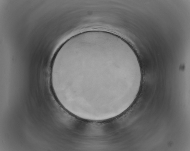 X0000091591514200708201218