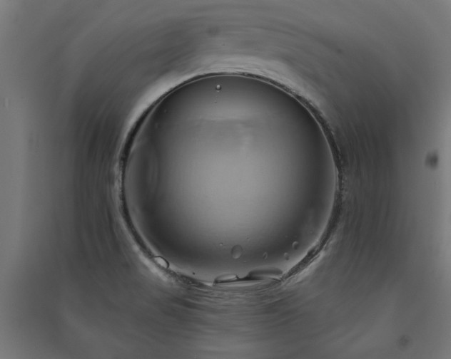 X0000091591517200708201218