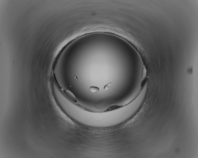 X0000091591518200708201218
