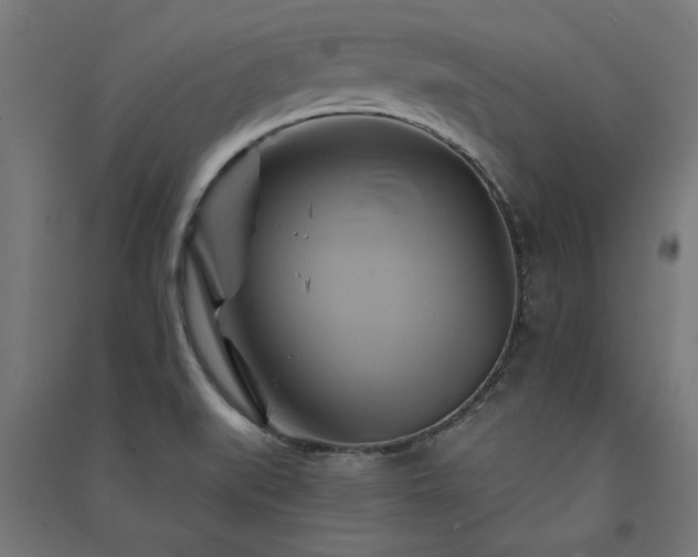 X0000091591519200708201218