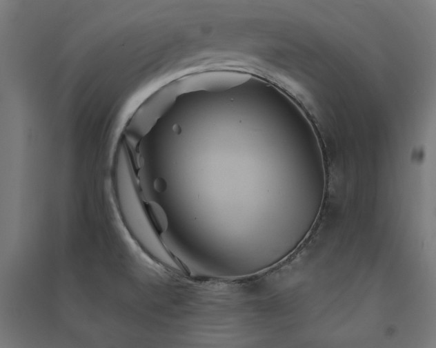 X0000091591520200708201218