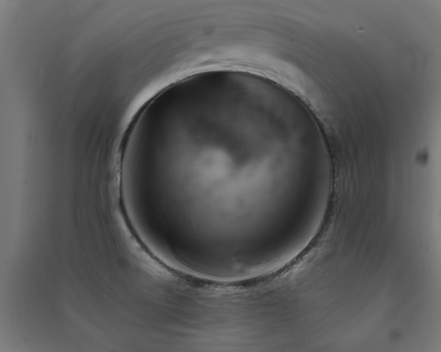 X0000091591522200708201218
